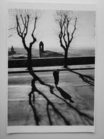 Claudio Montecucco - Abitudini