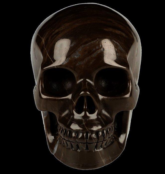 540 g 8,80 cm × 6,50 cm Museumstuk Jurassic Woodstone, Verzamelen, Mineralen en Fossielen