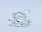 Figuur - Swarovski - Zwaan (Boxed + certificate) - Kristal