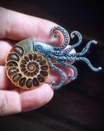 Geen reserveprijs Prachtige ammoniet, handgemaakte