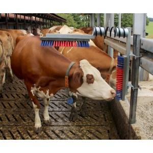 Brosse d‘étable, Articles professionnels, Agriculture | Aliments pour bétail