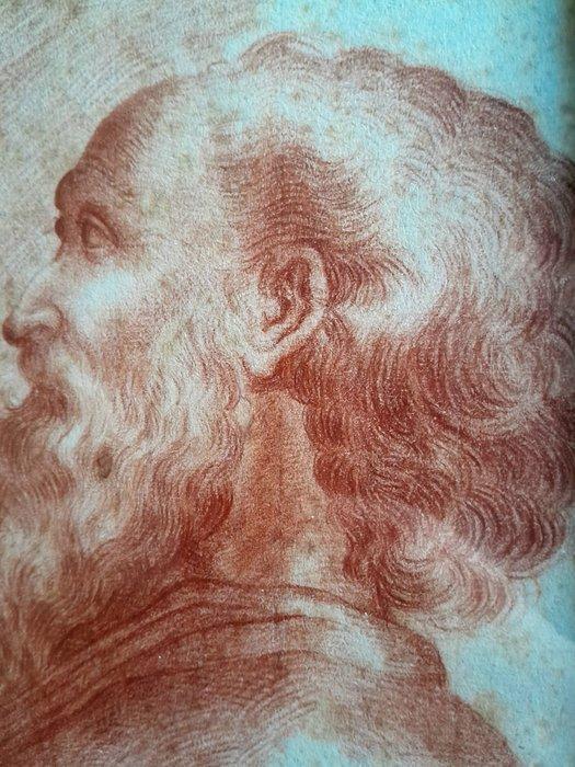 Ecole de Bologne/Rome - Portrait à la Sanguine dHomme Barbu, Antiek en Kunst, Kunst | Schilderijen | Klassiek