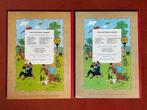 Tintin T2 + T18 - Tintin au Congo + Laffaire Tournesol - 2, Boeken, Nieuw