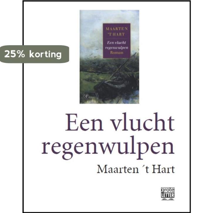 Een vlucht regenwulpen - grote letter 9789029579391, Boeken, Romans, Gelezen, Verzenden