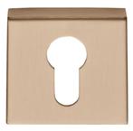 Cilinderplaatje BASICS BSQY53 PVD licht brons, Nieuw, Overige materialen, Klink of Kruk