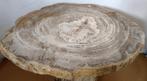 Salontafel - Fossil Wood - 4 x 53 x 44 cm - 15 kg, Nieuw
