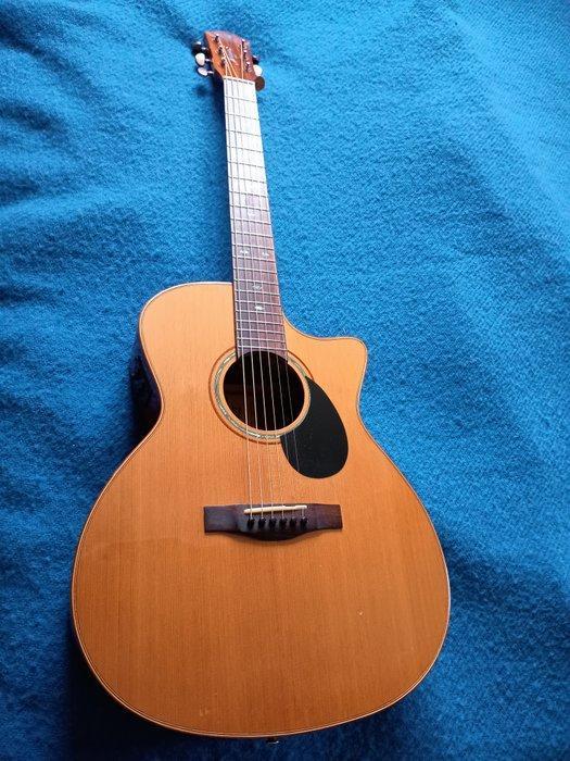 Morgan - W552 SCE M - - Akoestische gitaar - Noorwegen -, Muziek en Instrumenten, Snaarinstrumenten | Gitaren | Akoestisch