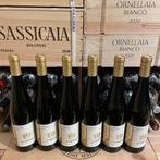 2024 J. Hofstatter, Gewurztraminer Joseph - Trentino Alto, Nieuw