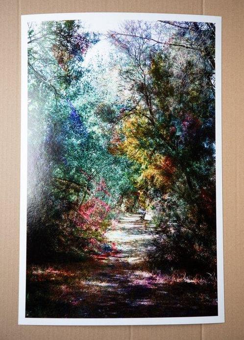 Viet Ha Tran - Lonely Road, Antiek en Kunst, Kunst | Schilderijen | Modern