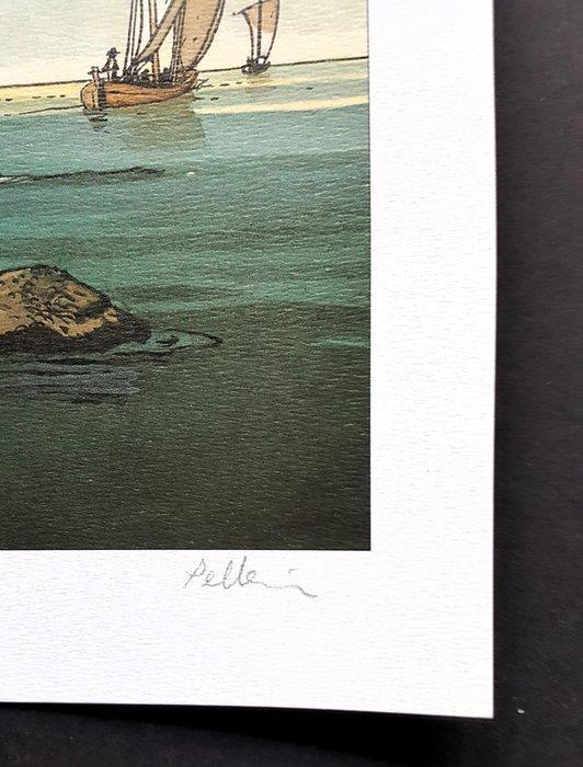 Pellerin, Patrice - 1 Offset Print - De Havik - De Havik op, Livres, BD