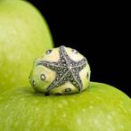 Ring van zilver met groen emaille en marcasiet – ontwerp, Collections