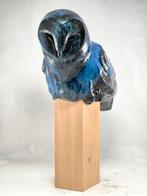 Federico Alibrio - Barn owl