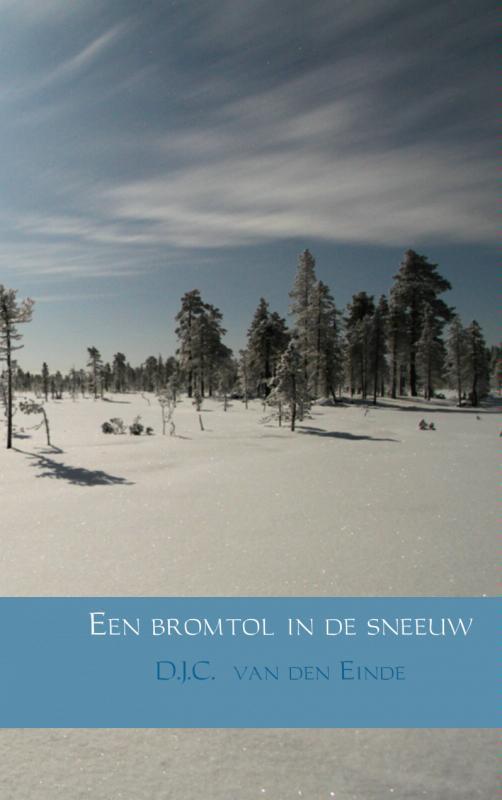 Een bromtol in de sneeuw 9789402116021 D.J.C. van den Einde, Boeken, Romans, Gelezen, Verzenden