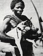 Zeldzame Basenji hond jachtring - Bakongo - DR Congo (Zonder