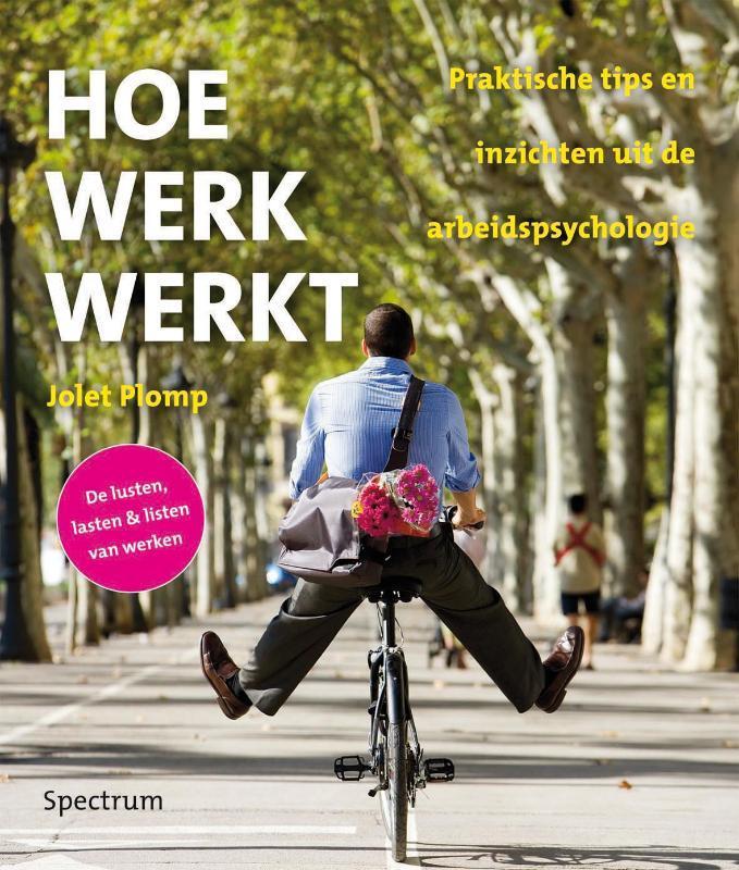 Hoe werk werkt 9789049104382 Jolet Plomp, Boeken, Economie, Management en Marketing, Zo goed als nieuw, Verzenden