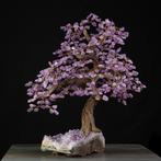 Een exclusieve collectie van unieke en verfijnde stukken., Verzamelen