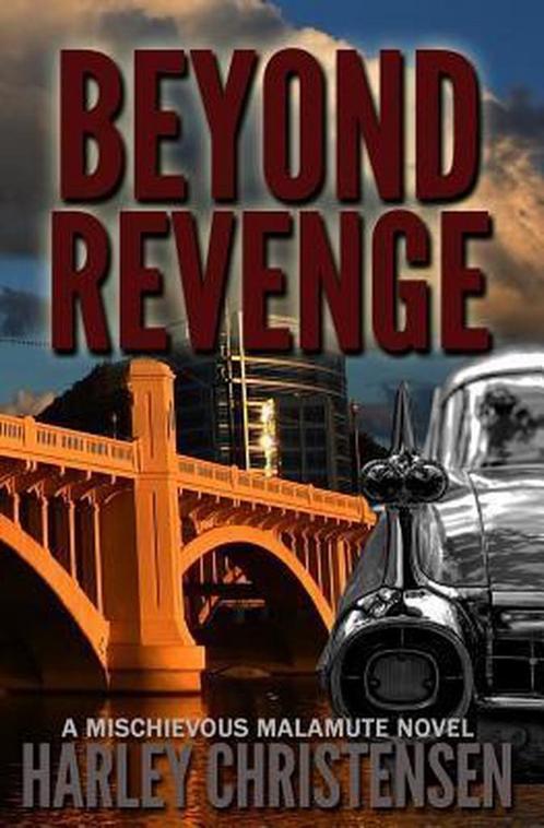 Beyond Revenge 9781495248764, Livres, Livres Autre, Envoi