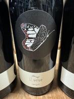 2021 Johannes Zillinger, Velue 2.0 Zweigelt -, Nieuw