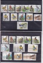 België - Grote partij postzegels met vogels van Buzin -, Postzegels en Munten, Postzegels | Europa | België, Gestempeld