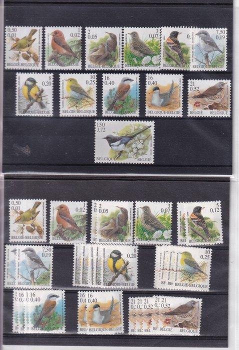 België - Grote partij postzegels met vogels van Buzin -, Postzegels en Munten, Postzegels | Europa | België