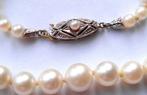 Zonder minimumprijs - Halsketting Akoya-parels tot 8 mm - 8, Nieuw