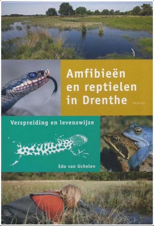 Amfibieen En Reptielen In Drenthe 9789052944845, Livres, Livres pour enfants | Jeunesse | 13 ans et plus, Envoi