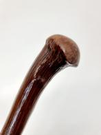 Wandelstok - Hout
