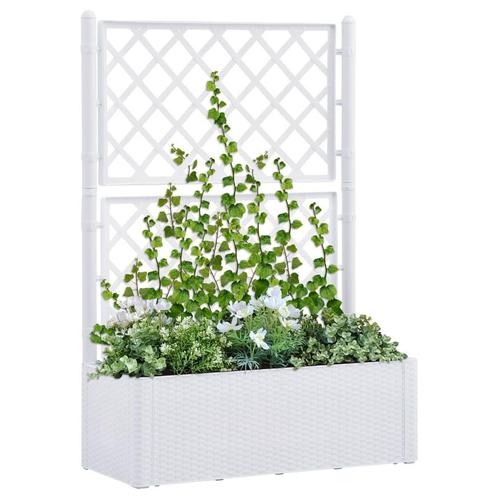 vidaXL Plantenbak hoog met latwerk en zelfbewateringssysteem, Tuin en Terras, Bloempotten, Nieuw, Verzenden