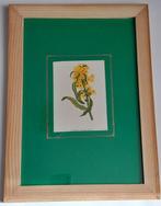 Wild Flowers by Anne Pratt - A set of 8 mounted and framed, Antiek en Kunst, Curiosa en Brocante