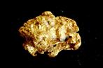Goud Natif, goudklomp uit Suriname of Frans-Guyana- 1.13 g -, Nieuw