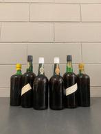 Cryptic, Lanca & Kopke - Porto - Bouteilles (0,75 L), Verzamelen, Nieuw