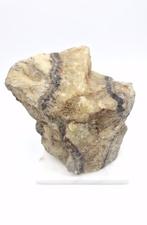 Septarie Ruw Staand (Drakenei), Ophalen of Verzenden