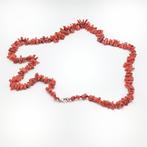 Bloedkoraal Koraal - Corallium rubrum (Zonder Minimumprijs), Nieuw