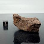 VACA MUERTA Mesosideriet, zeer zeldzaam om te vinden. -, Verzamelen