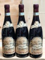 2019 Tommasi - Amarone della Valpolicella - 3 Flessen (0.75, Nieuw