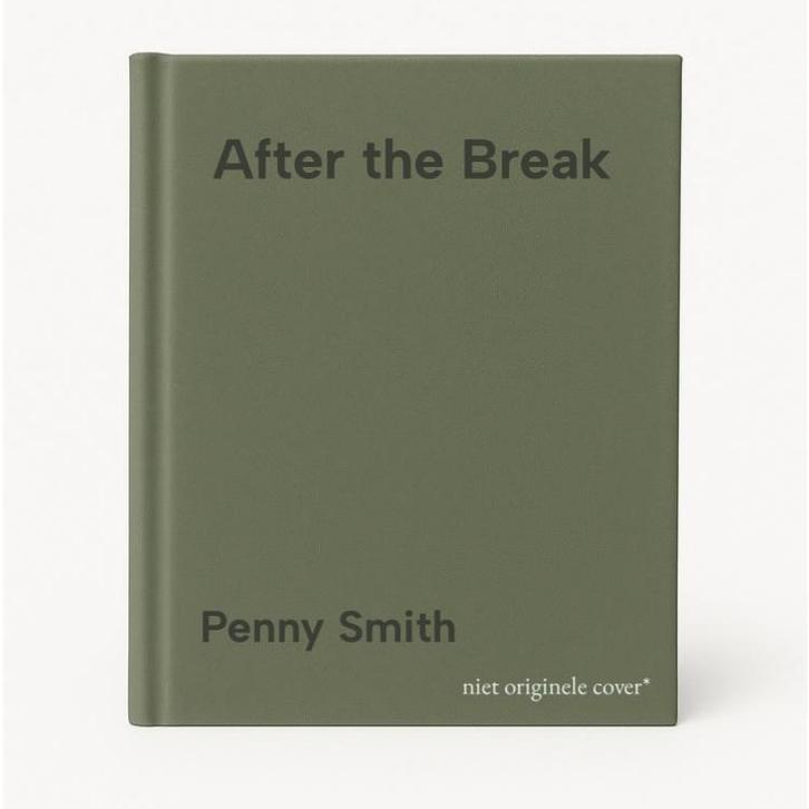 After the Break 9780007315284 Penny Smith, Boeken, Taal | Engels, Gelezen, Verzenden