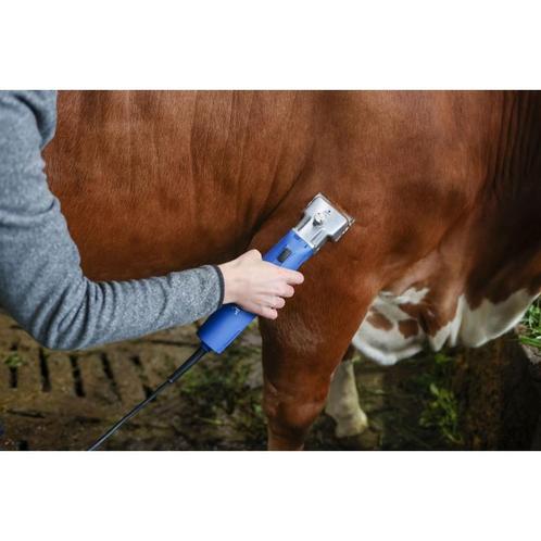 Tondeuse aesculap econom ii bovins/equins, bleu, gt502/501 -, Dieren en Toebehoren, Honden-accessoires