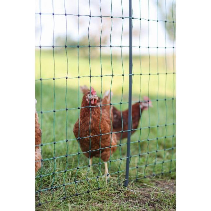 Filet vol. premium, vert, 50 m 106 cm double pointe, Jardin & Terrasse, Clôtures de jardin, Neuf