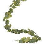 Bloemen Slinger Eucalyptus 2m, Hobby en Vrije tijd, Verzenden, Nieuw