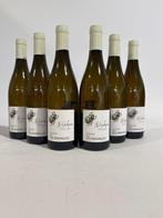 2019 Escaravailles- La Galopine - Côtes-du-Rhône - 6, Collections