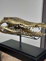 Statue, Unieke XXL bronzen krokodil schedel - op standaard -