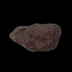 NWA 16208 Primitieve chondriet (Winonaita) meteoriet zonder