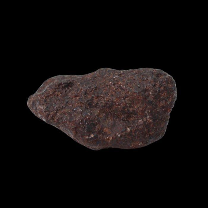 NWA 16208 Primitieve chondriet (Winonaita) meteoriet zonder, Verzamelen, Mineralen en Fossielen