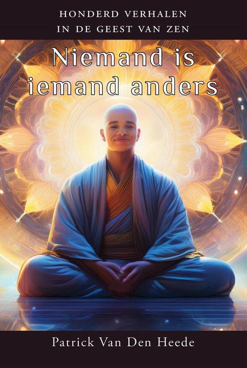 Niemand is iemand anders 9789463310543 Patrick Van Den Heede, Boeken, Esoterie en Spiritualiteit, Zo goed als nieuw, Verzenden