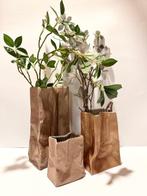 Rosenthal - Tapio Wirkkala - Vase (3) - Ne rien jeter par