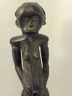 Figure fang - Gabon (Zonder Minimumprijs)