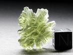 egel Moldavite - 3.89 g, Verzamelen