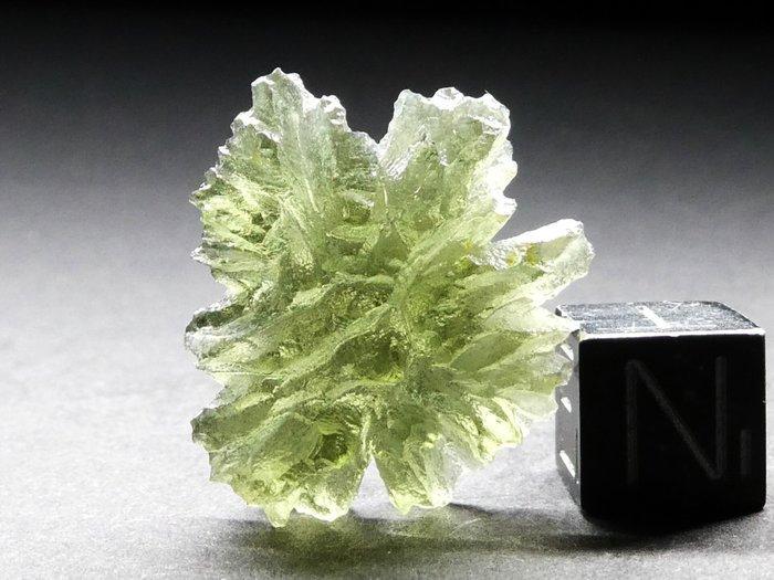 egel Moldavite - 3.89 g, Verzamelen, Mineralen en Fossielen