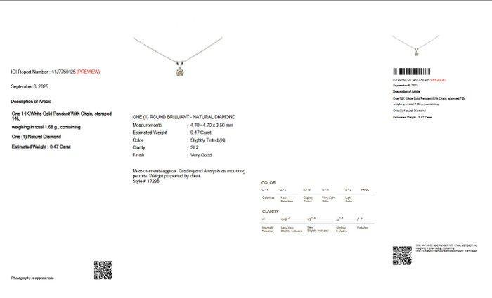 Zonder Minimumprijs - Ketting met hanger - 14 karaat Witgoud, Handtassen en Accessoires, Antieke sieraden
