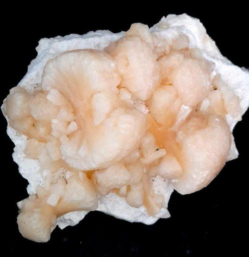 Stilbiet Kristallen op matrix - Hoogte: 16 cm - Breedte: 13, Verzamelen, Mineralen en Fossielen